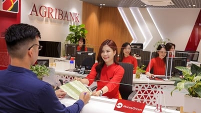 MoneyGram cooperates with Agribank to expand global money transfer network in Vietnam