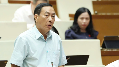 Đại biểu đề nghị phát triển công nghiệp công nghệ số lưu ý tới an ninh môi trường