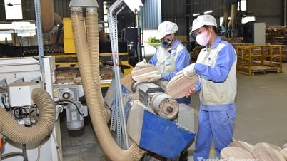 Kinh tế tư nhân: Động lực quan trọng của nền kinh tế