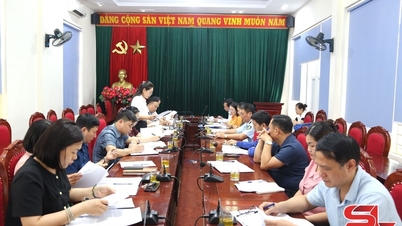 Đoàn kiểm tra liên ngành của Ban Chỉ đạo An toàn thực phẩm tỉnh làm việc tại huyện Sông Mã