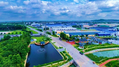 ត្រូវការធ្វើសមកាលកម្មដំណោះស្រាយដើម្បីគាំទ្រទីផ្សារអចលនទ្រព្យឧស្សាហកម្ម និងថាមពលកកើតឡើងវិញ។
