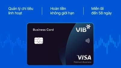 VIBが中小企業向け金融・デジタルソリューションを導入