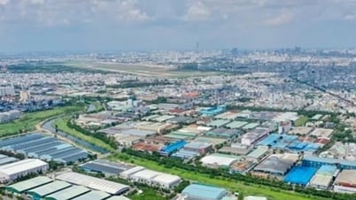 TP Hồ Chí Minh: Chuyển đổi các khu chế xuất, công nghiệp theo chiều sâu