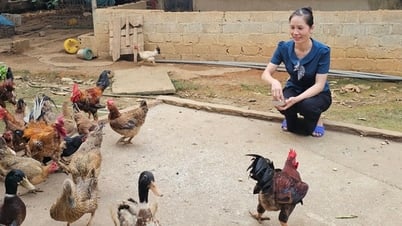Câu chuyện truyền cảm hứng của người phụ nữ Mường “Dám thay đổi để vươn lên”