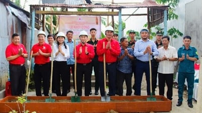 La provincia de Dong Thap tiene 10 de 12 distritos y ciudades que han completado el Programa para eliminar viviendas temporales y deterioradas.