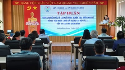 Nâng cao kiến thức về sản xuất nông nghiệp theo hướng hữu cơ tuần hoàn
