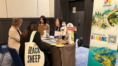 ダナンはヨーロッパ市場で観光地を宣伝・宣伝している