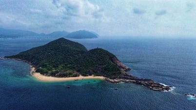 Những tuyệt tác thiên nhiên: Mái ấm hoang sơ giữa biển Phú Yên