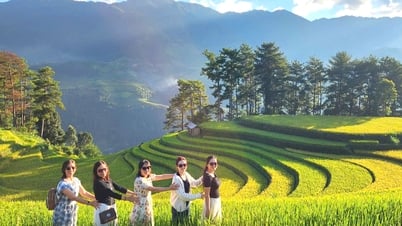 Die Revolution der „Mehrwertigen Integrierten Landwirtschaft“ in Yen Bai