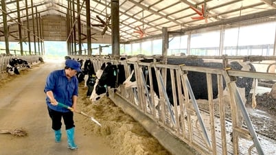 事業開発支援