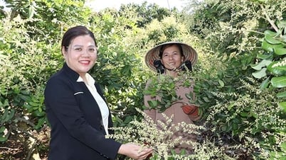 កសិករបង្កើនប្រាក់ចំណូលដោយសារមូលនិធិឥណទានរបស់ប្រជាជន