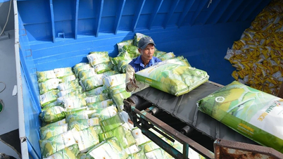 การสร้างหลักประกันการผลิตและการบริโภคผลิตภัณฑ์ทางการเกษตร ป่าไม้ และประมง ท่ามกลางความผันผวนของการค้าโลก
