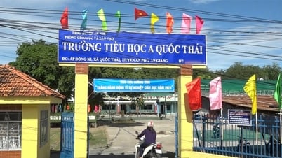 Khẩn trương kỷ luật tương xứng hiệu trưởng bị giáo viên ‘tố’ sàm sỡ, quấy rối