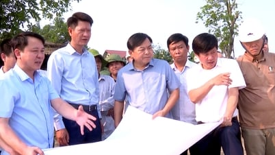 Deputy Minister of Agriculture and Environment Nguyen Hoang Hiep inspected a number of embankment projects.