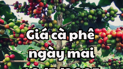 ព័ត៍មាន ការព្យាករណ៍តម្លៃកាហ្វេថ្ងៃស្អែក ទី១០ ខែឧសភា ឆ្នាំ២០២៥៖ តម្លៃកាហ្វេនៅតែបន្តកើនឡើង