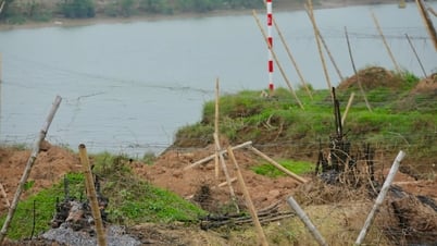 Hải Dương còn hàng chục km đê không thể trồng tre chắn sóng