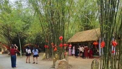 Entdecken Sie die „Paradiese“, um der Sommerhitze in Quang Nam zu entfliehen
