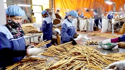 Более 1700 млрд донгов нового зарегистрированного капитала, стремительный рост бизнеса