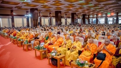 Đại lễ Vesak Liên hợp quốc 2025: Thông điệp về hòa bình và hoà hợp dân tộc