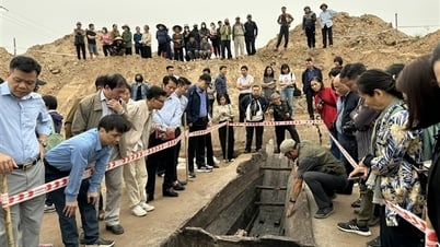 박닌 고대 선박 유물 보고서와 관련된 질문