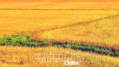 អូ… សំឡេងរបស់ម្តាយ