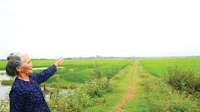 There is a ferry C on the Ben Hai river…
