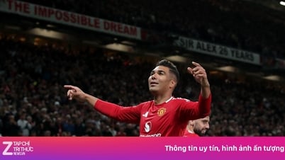 Scholes: MU biết cách vô địch, Tottenham thì không
