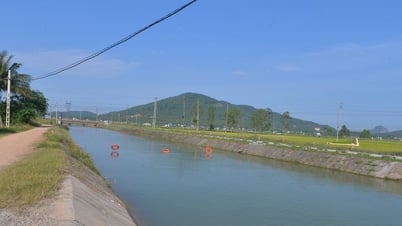 Bac Irrigation Company Limited assure l'irrigation de plus de 51 369 hectares de rizières