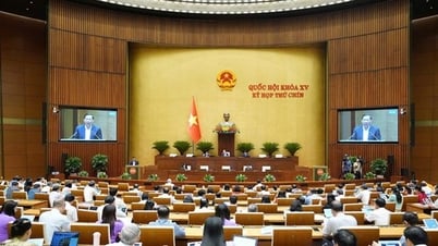 Áp thuế tiêu thụ đặc biệt nước giải khát có đường, khi đã có đủ cơ sở, lộ trình hợp lý