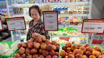Giao thương Việt Nam – Hoa Kỳ hướng tới cân bằng thương mại