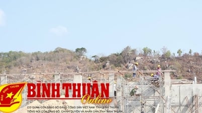 ពង្រឹងក្រុមការងារជួយឧបត្ថម្ភ Ham Tan ក្នុងការងារដីសួនឧស្សាហកម្ម