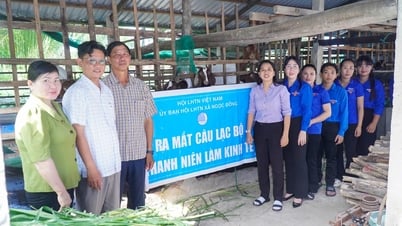 យុវជន My Xuyen ចាប់ផ្តើមអាជីពនៅស្រុកកំណើតរបស់ពួកគេ។