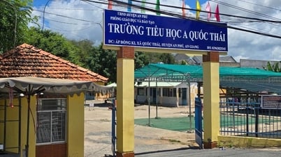 Vụ hiệu trưởng bị tố sàm sỡ: Thêm nhiều nữ giáo viên bị quấy rối