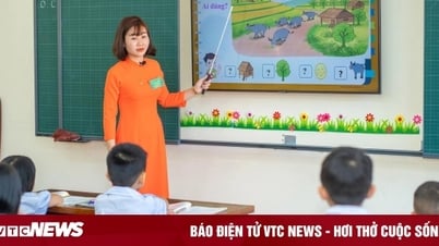 Không có chứng chỉ tin học, giáo viên có được xét thăng hạng?