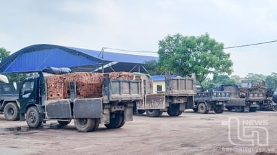 Giá gạch tuynel tăng mạnh