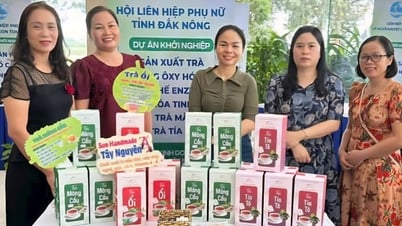 Đắk Nông tiếp lửa cho hàng trăm ý tưởng khởi nghiệp của hội viên phụ nữ
