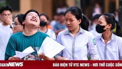 'Đừng thần thánh hoá IELTS để xét tuyển, giỏi ngoại ngữ không chắc giỏi các môn'