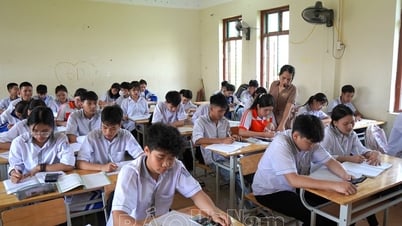 Focus on review for grade 9 students