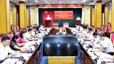 Thống nhất phương án hợp nhất Văn phòng Tỉnh ủy Tuyên Quang và Hà Giang