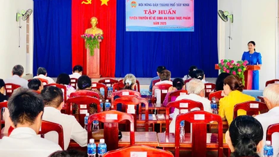 ទីក្រុង។ តៃនិញ៖ លើកកំពស់ចំណេះដឹងអំពីសុវត្ថិភាពចំណីអាហារ និងអនាម័យសម្រាប់កសិករ