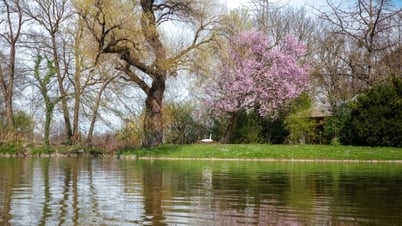 Khách Việt giữa mùa hoa xuân rực rỡ ở châu Âu