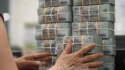 وزارة المالية: ضمان تمويل التقاعد المبكر