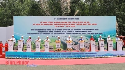 Giao 10.536,5 tỷ đồng cho các dự án thành phần 1, 3, 5 cao tốc Gia Nghĩa - Chơn Thành