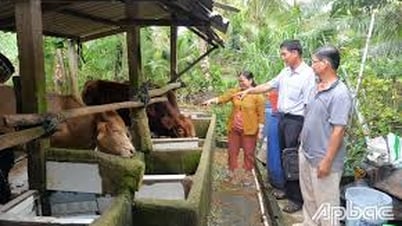 Nghị quyết phân bổ dự toán từ nguồn ngân sách trung ương bổ sung có mục tiêu năm 2025 (nguồn vốn sự nghiệp) để thực hiện Chương trình mục tiêu quốc gia Giảm nghèo bền vững trên địa bàn tỉnh Tiền Giang