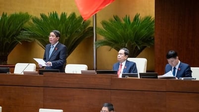 Quốc hội thảo luận về lộ trình áp thuế tiêu thụ đặc biệt...