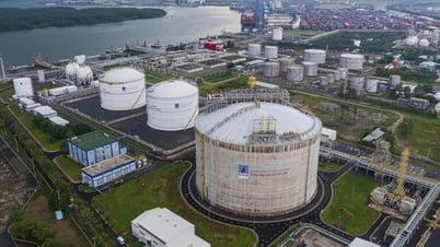 New regulations on the development mechanism of gas-fired thermal power projects