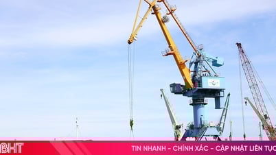 Cargo output through Ha Tinh seaport reaches over 12 million tons
