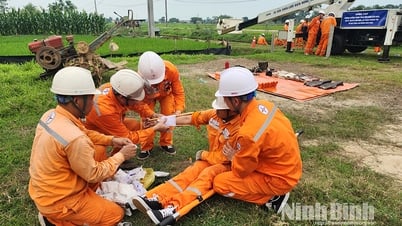 Điện lực Ninh Bình diễn tập phòng, chống thiên tai và tìm kiếm cứu nạn