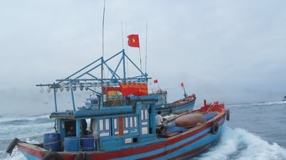 Вьетнам отвергает односторонний запрет Китая на рыболовство в Восточном море