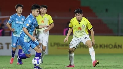 Live schedule round 22 V-League 2024-2025